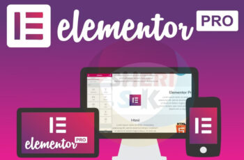 Elementor PRO v3.23.3 WordPress Plugin Download